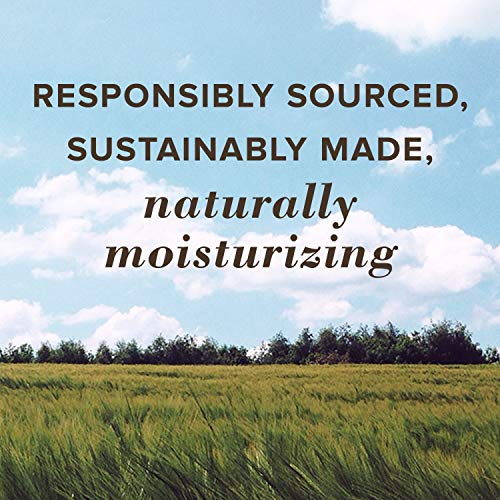 Burts Bees, Squeezy Tinted Lip Balm - Watermelon Rush, 0.43 Ounce